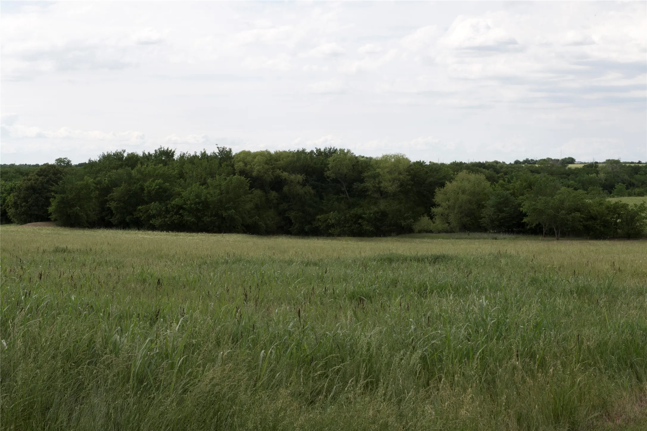 Celina, TX 75009