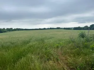 Nevada, TX 75173