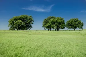 Henrietta, TX 76230