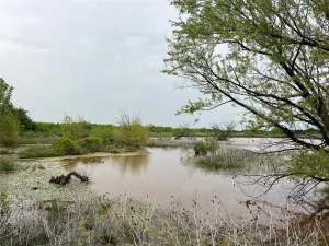 Bellevue, TX 76228