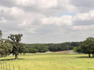 Whitesboro, TX 76273