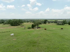 Jonesboro, TX 76538