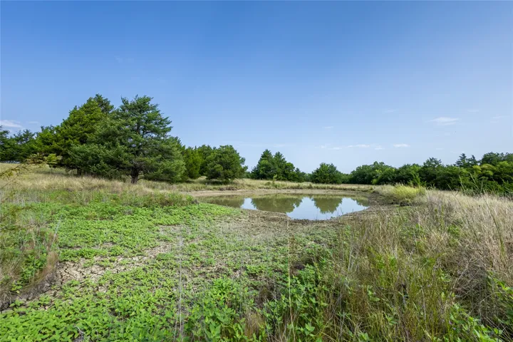 Windom, TX 75492