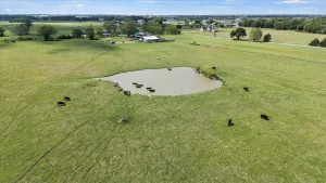 Pilot Point, TX 76258