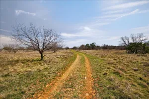 Graford, TX 76449