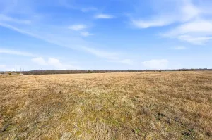 Josephine, TX 75189