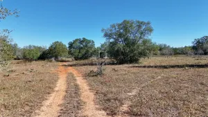 Gonzales, TX 78632