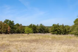 Perrin, TX 76486