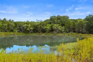 Graham, TX 76450