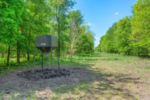 Edgewood, TX 75117