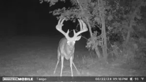 Whitesboro, TX 76273