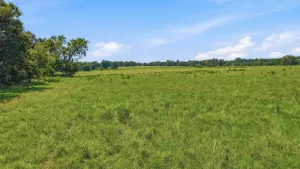 Denison, TX 75021