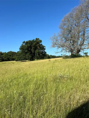 Tyler, TX 75706