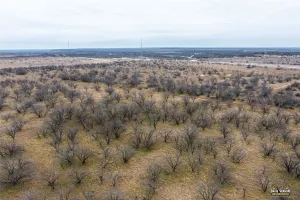 Baird, TX 79504
