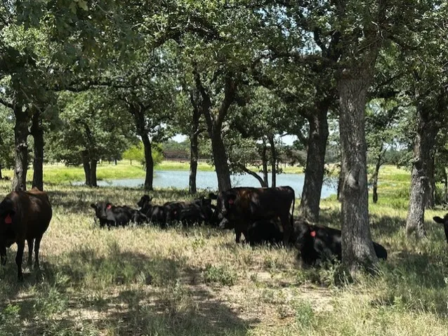 Lipan, TX 76462