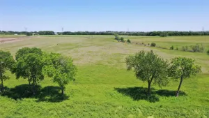 Celina, TX 75009