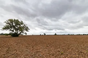 Marlin, TX 76661