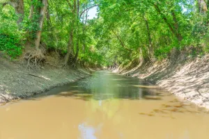 Edgewood, TX 75117