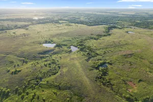 Ringgold, TX 76261