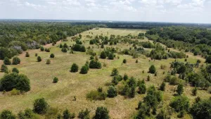 Terrell, TX 75161