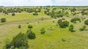 Carlton, TX 76436