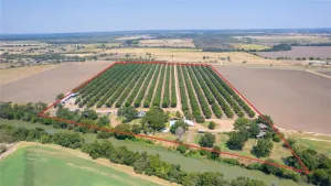 San Saba, TX 76877