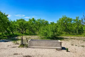 Rochelle, TX 76872