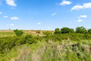 Ringgold, TX 76261