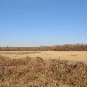 Bridgeport, TX 76426