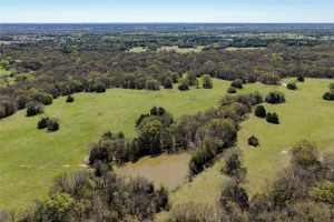 Terrell, TX 75161