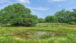 Pilot Point, TX 76258