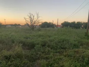 Stephenville, TX 76401