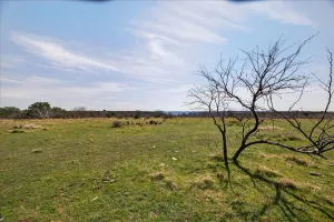 Graford, TX 76449