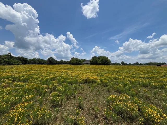 Lufkin, TX 75969