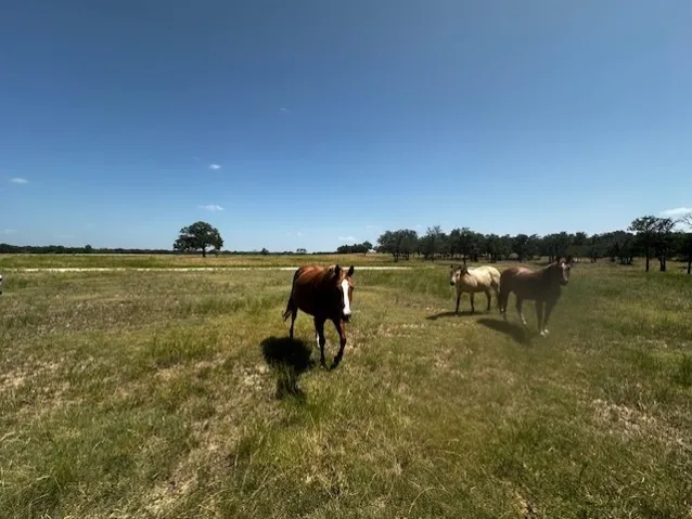 Lipan, TX 76462