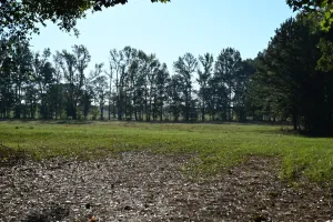 Henderson, TX 75654