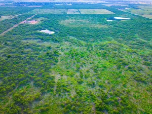 Wichita Falls, TX 76310