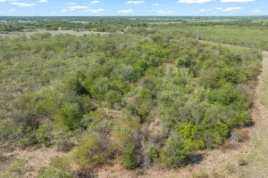 Terrell, TX 75160