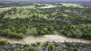 Graford, TX 76449