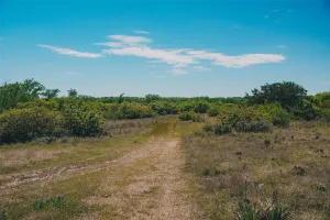 Annetta, TX 76008