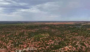 Childress, TX 70201