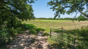 Stephenville, TX 76401