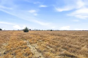 Josephine, TX 75189