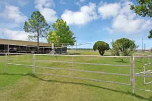 Tioga, TX 76271