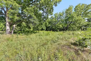 Whitesboro, TX 76273