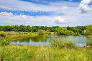 St Jo, TX 76265