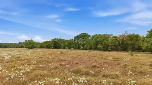 Collinsville, TX 76233