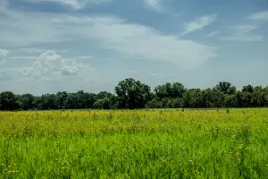 Henrietta, TX 76230