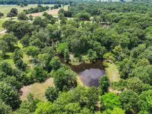 Powderly, TX 75473