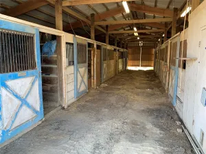Mc Kinney, TX 75071